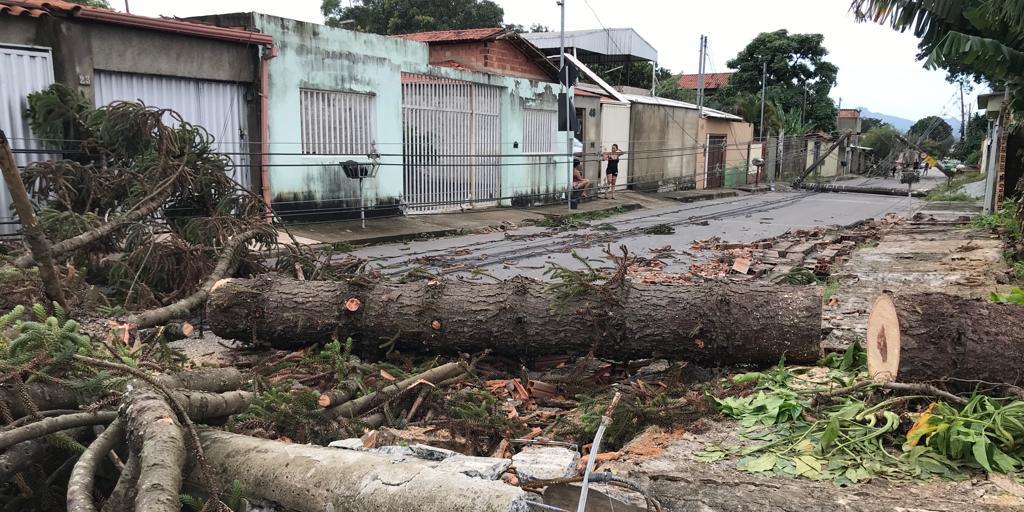  (Valéria Marques / Hoje em Dia)