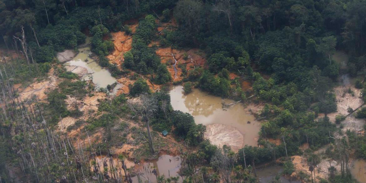 Pesquisadores buscam solução para comunidades (Fernando Frazão - Agência Brasil)