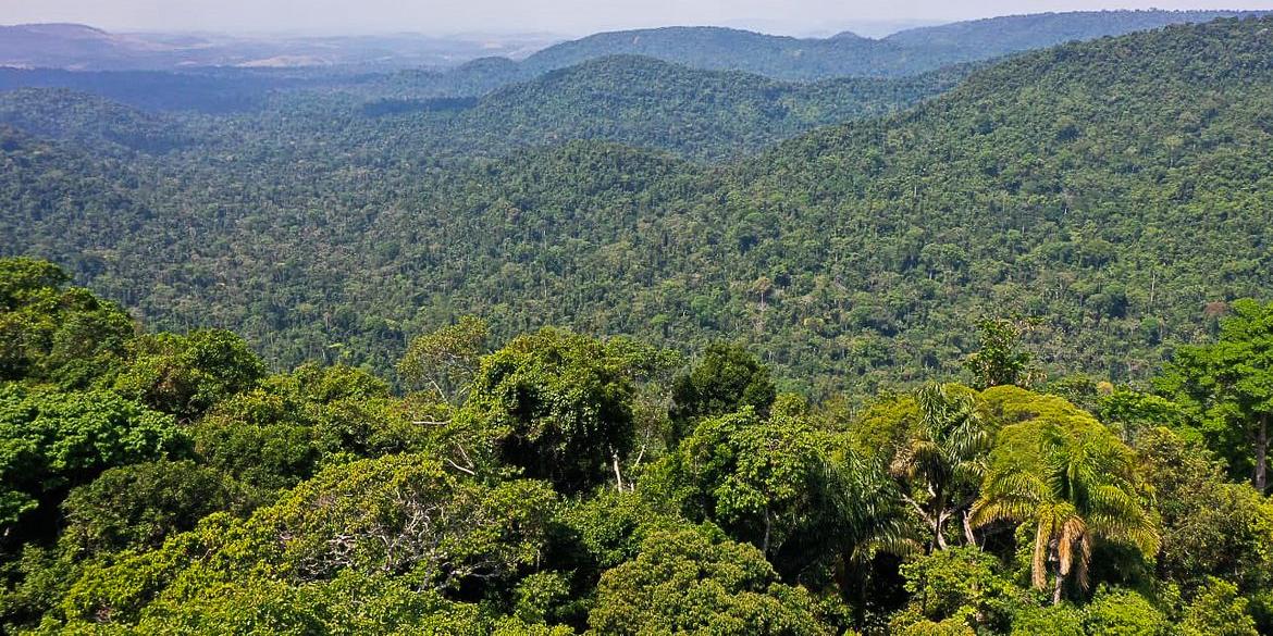 Investimento em horticultura e a recuperação florestal podem reduzir a pobreza na região promovendo cadeias produtivas que não destroem a floresta (TV Brasil)