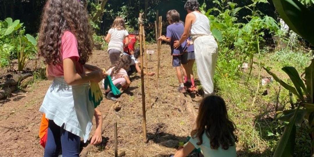 Alunos aprendem a trabalhar na terra plantio, colheita e fazem uso dos alimentos que cultivam nos lanches e almoços da escola (Divulgação/Instituto Ouro Verde)