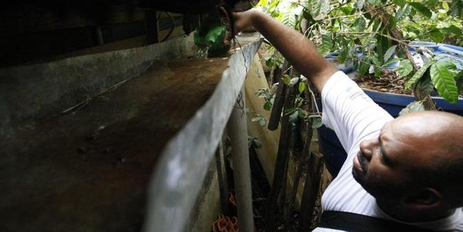 Varredura deve ser feita nas casas, como nas calhas dos telhados, para verificar possíveis focos do mosquito que transmite dengue, chikungunya e zika (Riva Moreira/Arquivo Hoje em Dia)