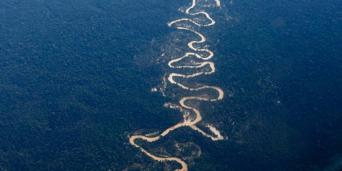 Vista em sobrevoo do rio Mucajaí, afetado pelo garimpo ilegal na Terra Indígena Yanomami. Foto: (Fernando Frazão/Agência Brasil)