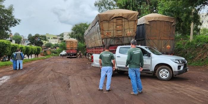 Na fiscalização da cadeia de comércio de carvão vegetal foram vistoriadas empresas siderúrgicas, com foco no transporte e nos consumidores finais do subproduto florestal (Divulgação/Semad)