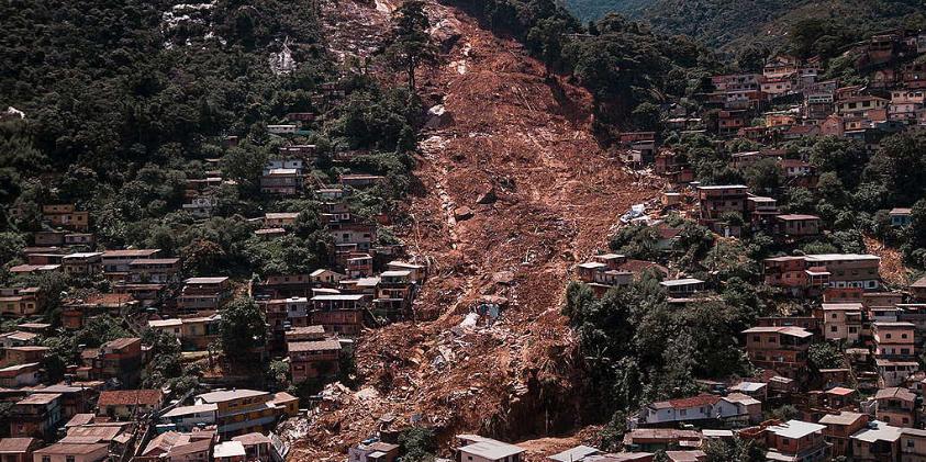  (Greenpeace Brasil/Reprodução)