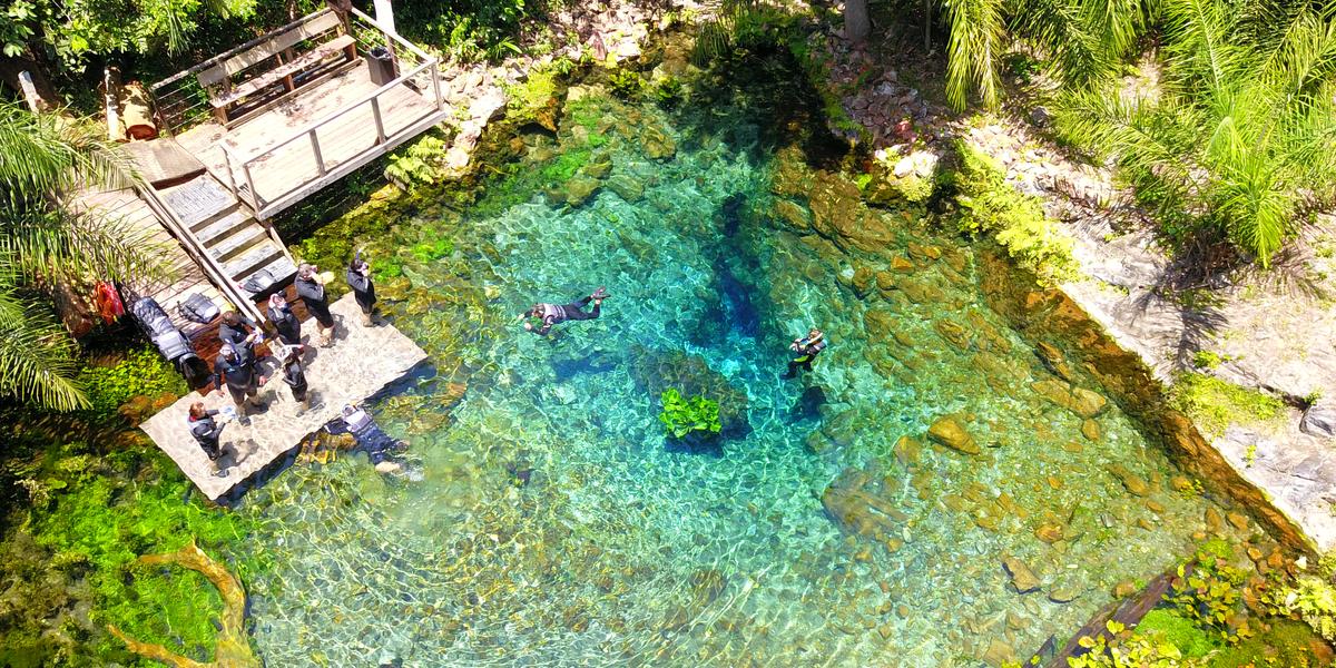 Flutuação em Bonito (Divulgação/Nascente Azul)