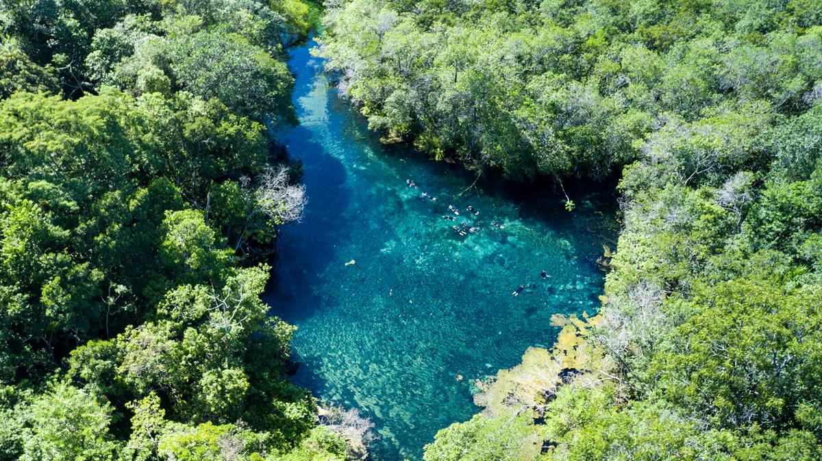 Recanto Ecológico Rio da Prata Jardim (Flávio André)