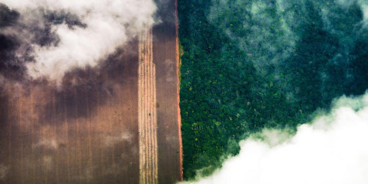 Relatório sugere mudança no modelo de gestão para evitar pior cenário (Marcelo Camargo/Agência Brasil)