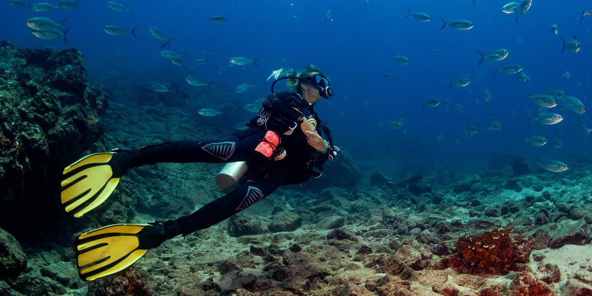 Panamá é um destino de pesca esportiva que abriga as mais diversas e procuradas espécies de peixe consideradas "troféus": mais raros em espécie, tamanho e peso. (Divulgação/ Promtur Panamá)