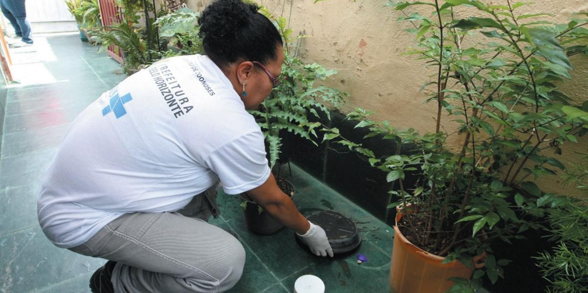 Vacina pode ser aliada para frear casos de dengue na capital, mas não elimina importância de a população eliminar locais com água parada que possam servir de criadouro para o Aedes aegypti (Wesley Rodrigues/Hoje em Dia)