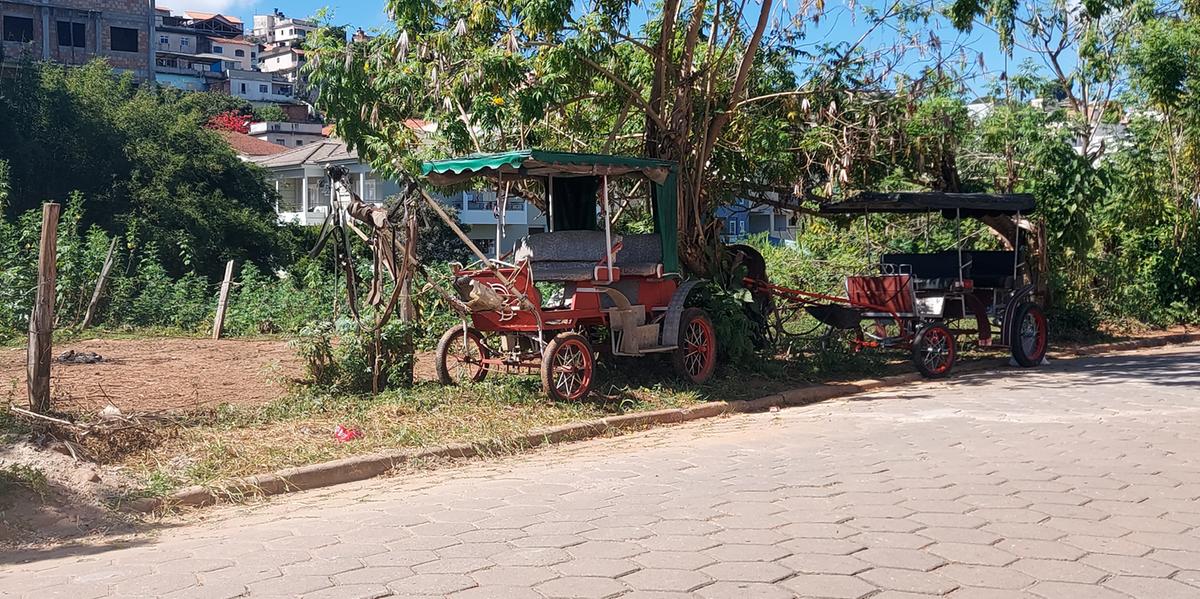 Os charreteiros terão 180 dias para encerrar a atividade turística em São Lourenço (Câmara Municipal de São Lourenço / Divulgação)