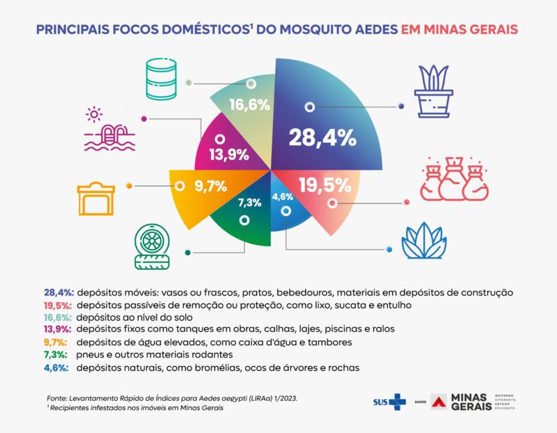 Infografia dengue em Minas (Reprodução / SES-MG)