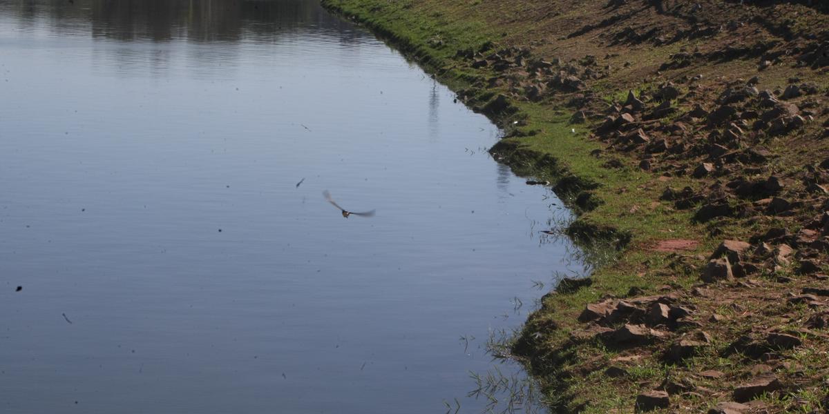 Correia prometeu despoluir Lagoa da Pampulha durante sabatina do Hoje em Dia  (Valéria Marques / Hoje em Dia)