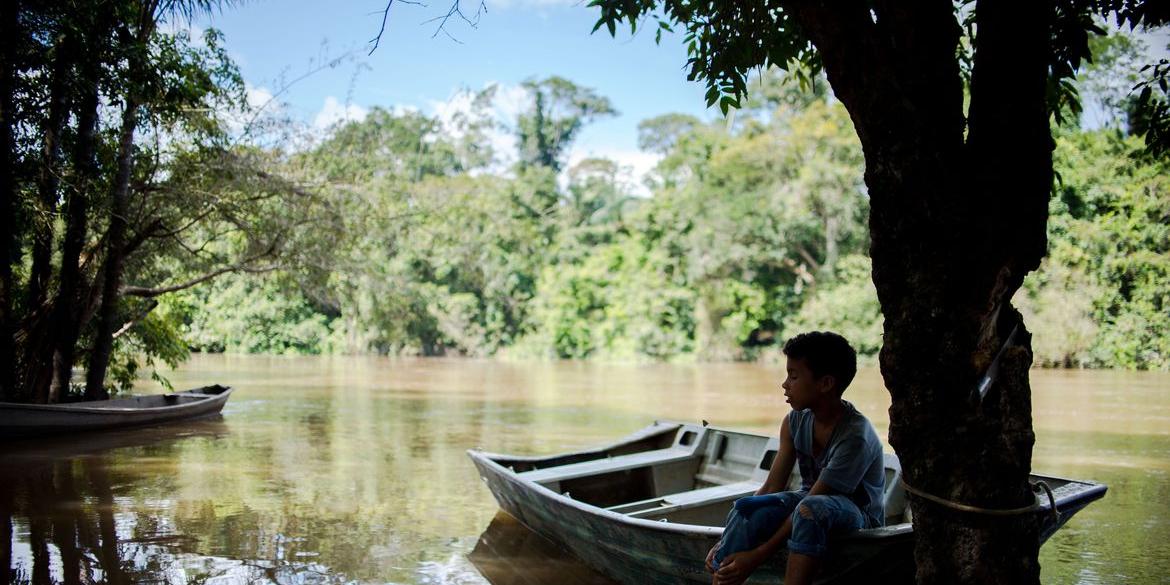 Pagamentos serão feitos para estimular a preservação da floresta (Marcelo Camargo/Agência Brasil)