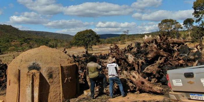 Cerca de 700 hectares foram fiscalizados em 21 locais pré-definidos ou encontrados durante as atividades (Sisema/Divulgação)