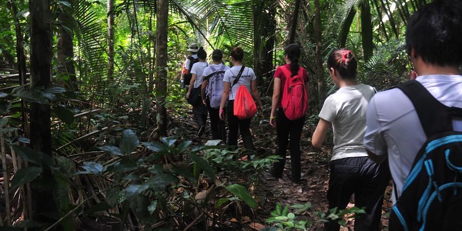 Situado em Autazes, a três horas de Manaus (AM), o ecolodge promove passeios que conectam os viajantes à cultura local (Juma Amazon Lodge / divulgação)