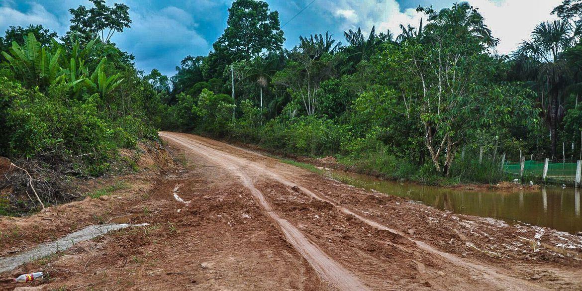 10/08/2023, Ambientalistas denunciam desmatamento às margens de rodovia amazônica (Cristie Sicsú / Agência Brasil)