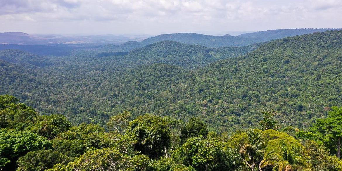 Os créditos de carbono podem ser gerados de diversas formas como, por exemplo a partir da captura de metano em aterros sanitários ou a partir de projetos de base natural (Reprodução/ TV Brasil)