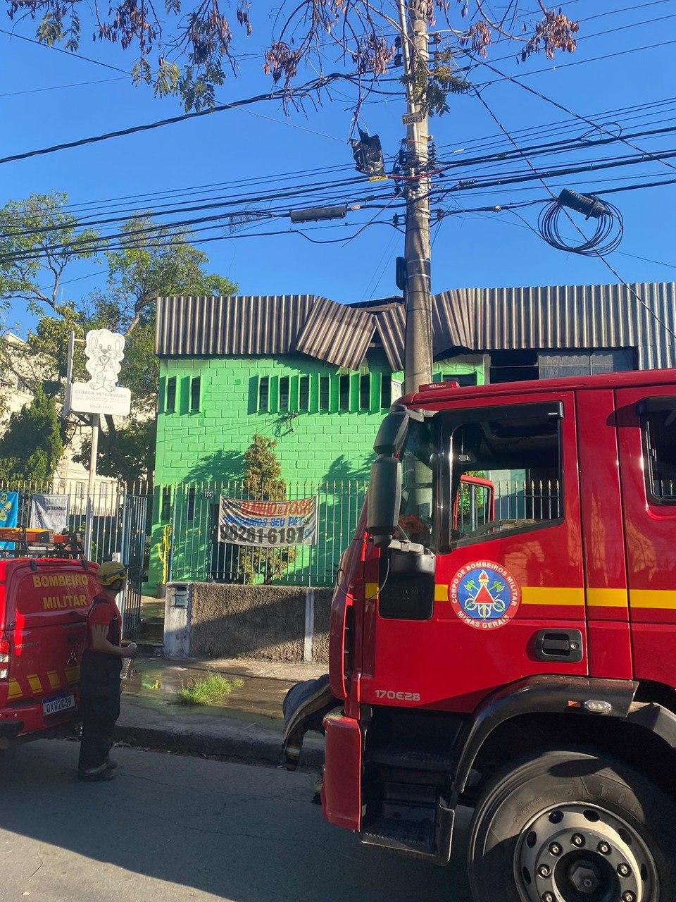 Bombeiros ajudaram a resgatar os animais (Divulgação / CBMMG)