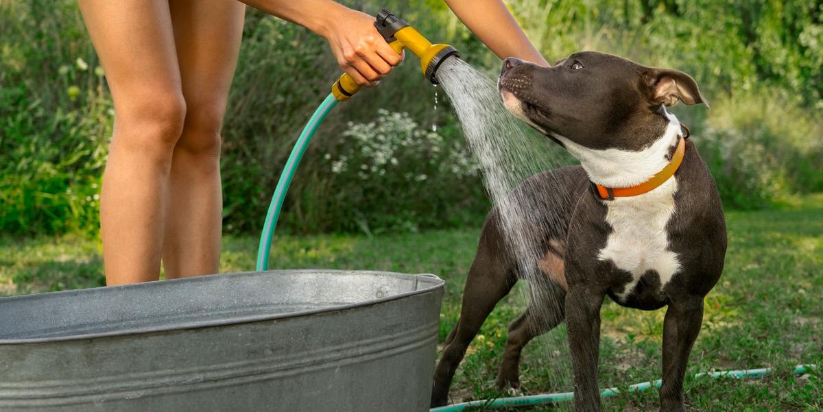 Nada como uma boa ducha para 'espantar' o calorão (Reprodução/Freepik)