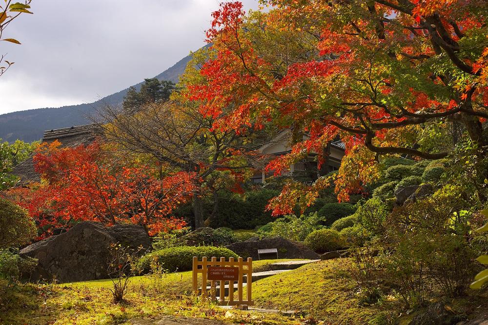 Jardins do Hakone Open Air Museum (Hakone Open Air Museum / divulgação)