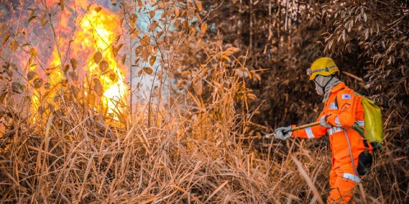 Ainda não há informações sobre as causas do incêndio. Também não foram informados possíveis danos a propriedades ou eventuais vítimas (CBMMG / Divulgação)