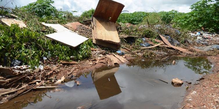 Na semana terminada em 14 de outubro, pelo menos cinco municípios registraram situação de epidemia da doença (Arquivo / Agência Brasil)