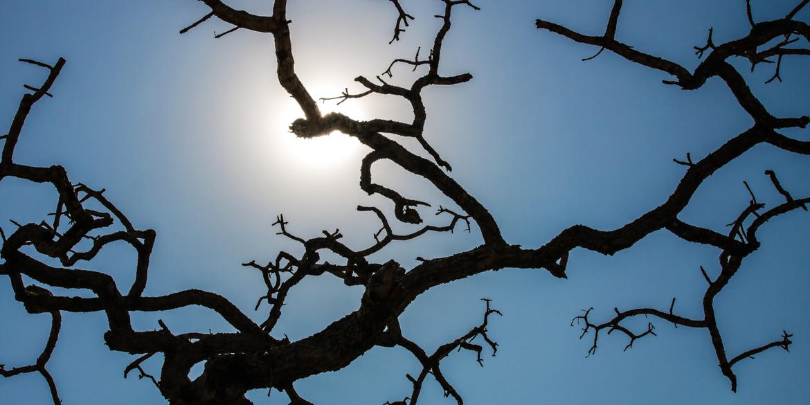 Temperatura média no país ficou em 26,4°C em outubro. Inmet emitiu alerta em que prevê nova onda de calor nos próximos dias. (José Cruz/ Agência Brasil)