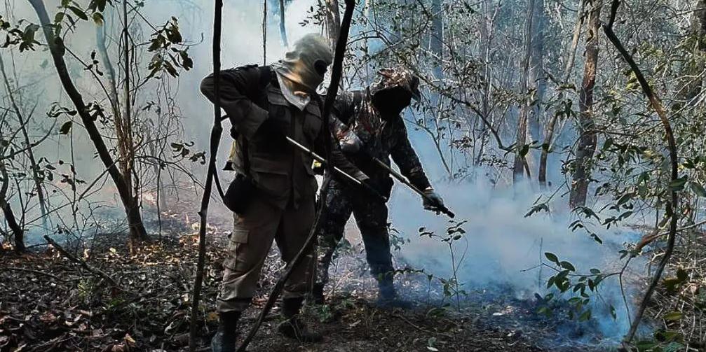 Segundo o ministério, quase 36 mil hectares foram queimados no Parque Estadual Encontro das Águas (Força Nacional de Segurança Pública)