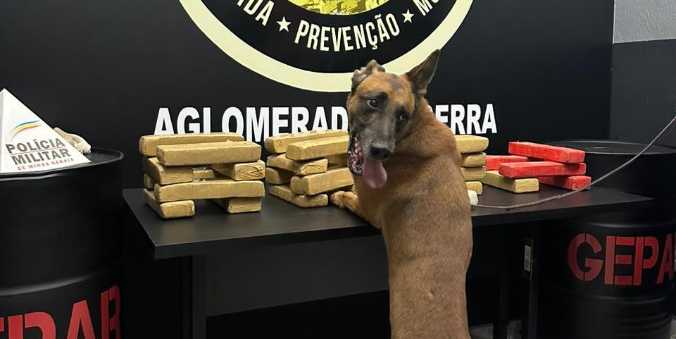 Foram apreendidas 29 barras de maconha e um quilo de pasta base de cocaína (Divulgação / PMMG)