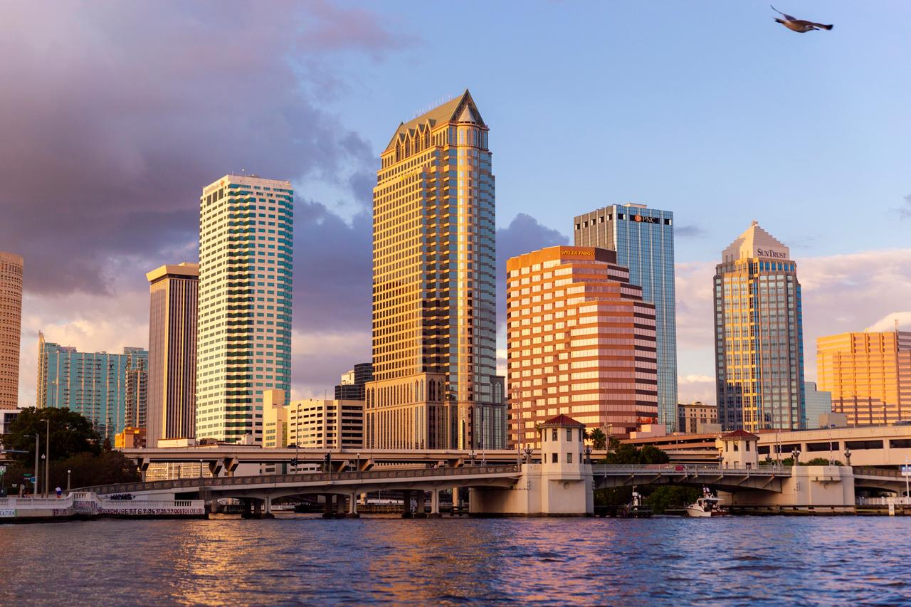 Tampa Bay é diversão, cultura e aventura - Brasil Travel News