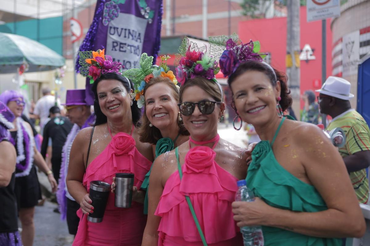 Eunice Ribeiro (à direita, de verde) e as amigas no bloco Trema na Linguiça (Fernando Michel / Hoje em Dia)