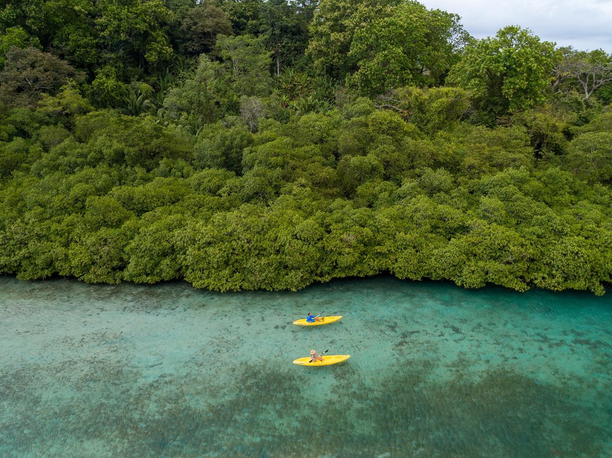 Parque Nacional La Amistad tem a maior parte da terra coberta por florestas tropicais abrangendo a paisagem montanhosa acidentada (Promtur / divulgação)