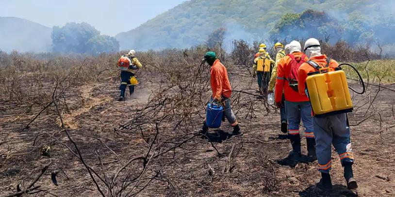 Serra do Amolar contribui significativamente para a formação de um corredor de biodiversidade e para a proteção ambiental (Divulgação / Instituto Homem Pantaneiro)